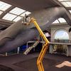 Watch This Livestream Of The AMNH's Giant Blue Whale Getting Cleaned